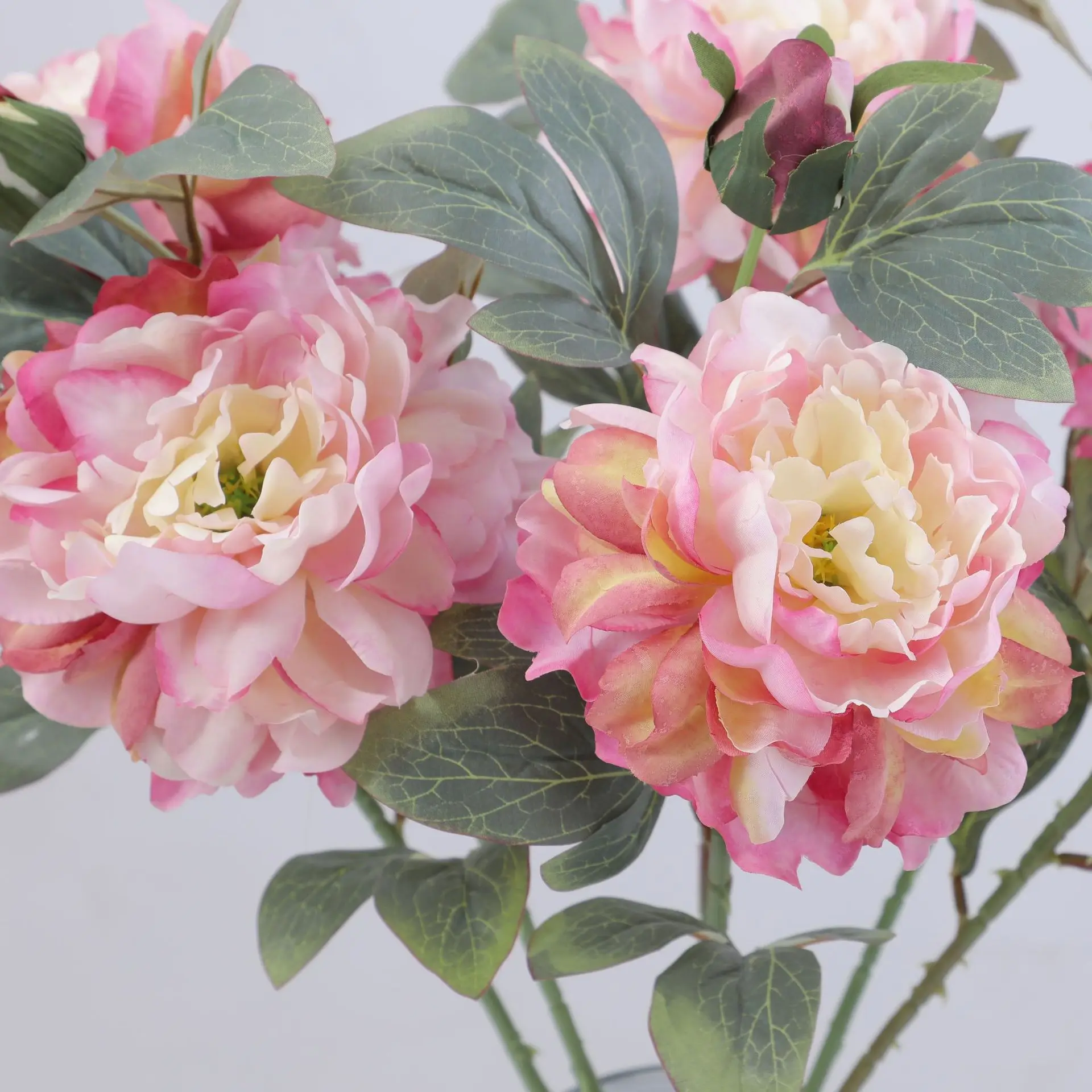 Artificial Peony Flower Single - Flower Wall Panel 리뷰 및 가격