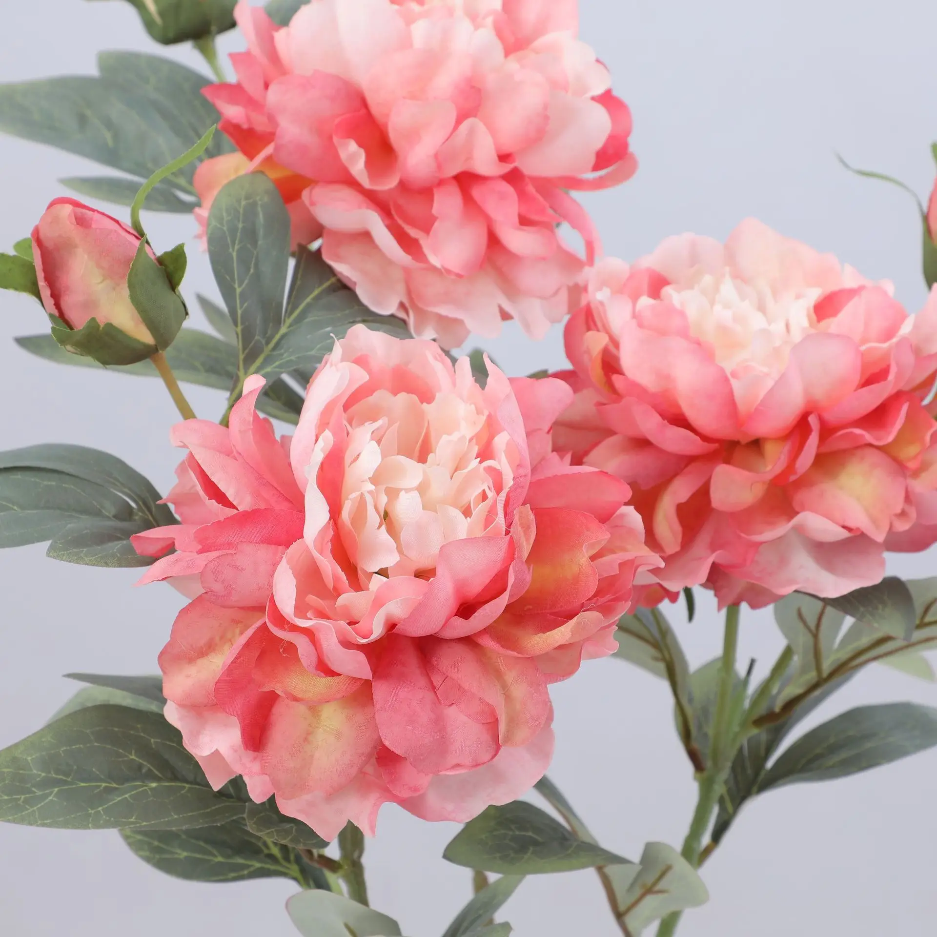 Artificial Peony Flower Single - Flower Wall Panel 리뷰 및 가격