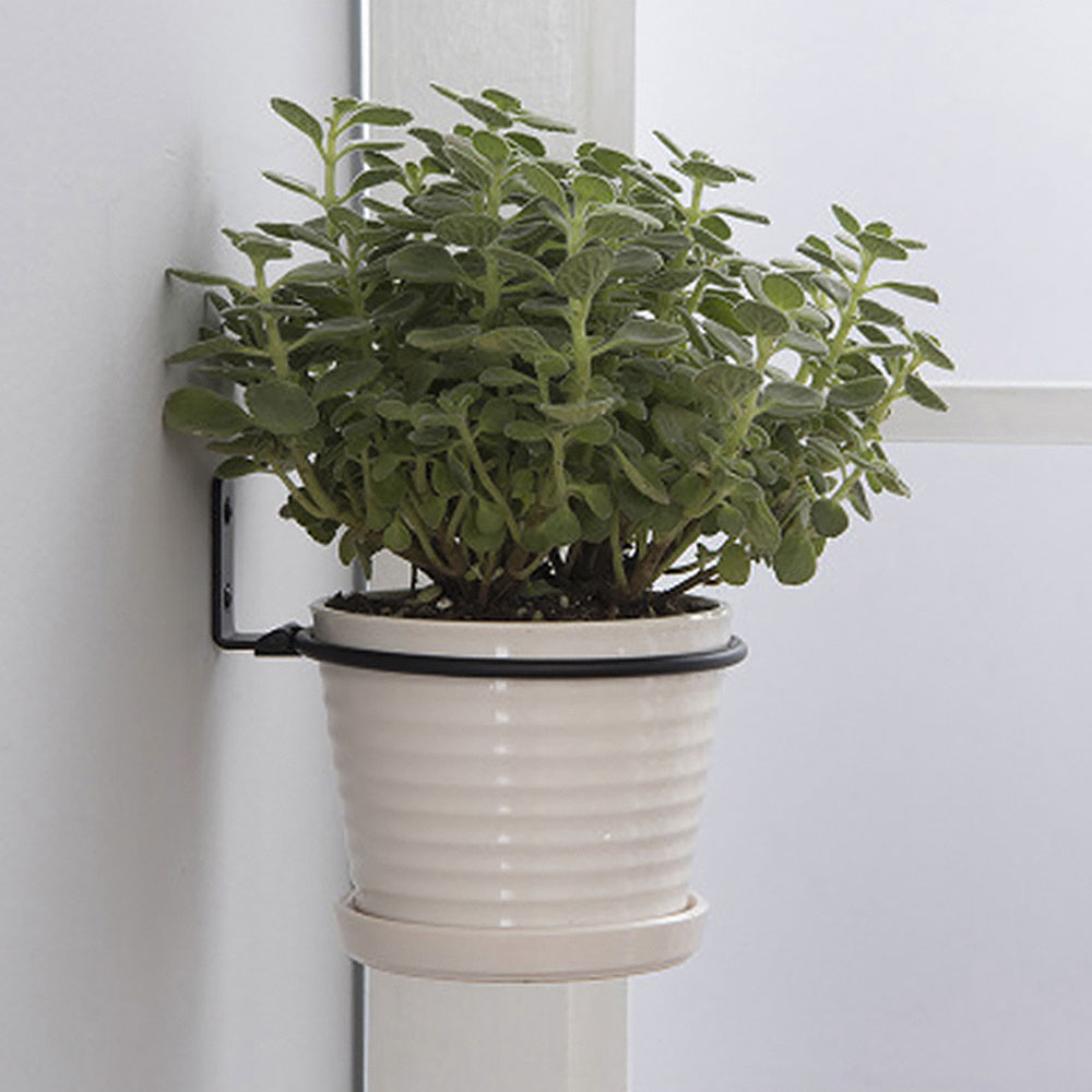 Flower Pot Trays Wall Mounted  - Flower Wall Panel 리뷰 및 가격