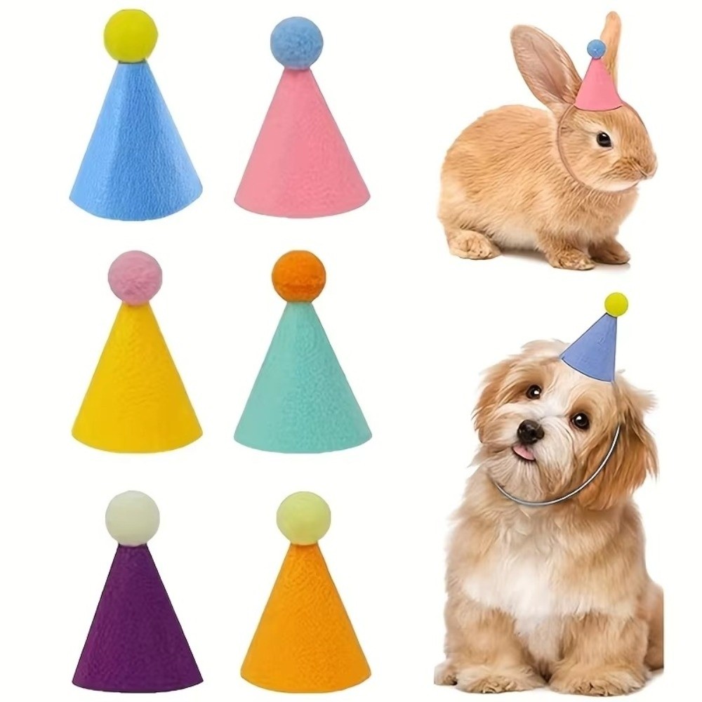 Reusable 6pcs Set Mini Party H - Party Hat Cone 리뷰 및 가격