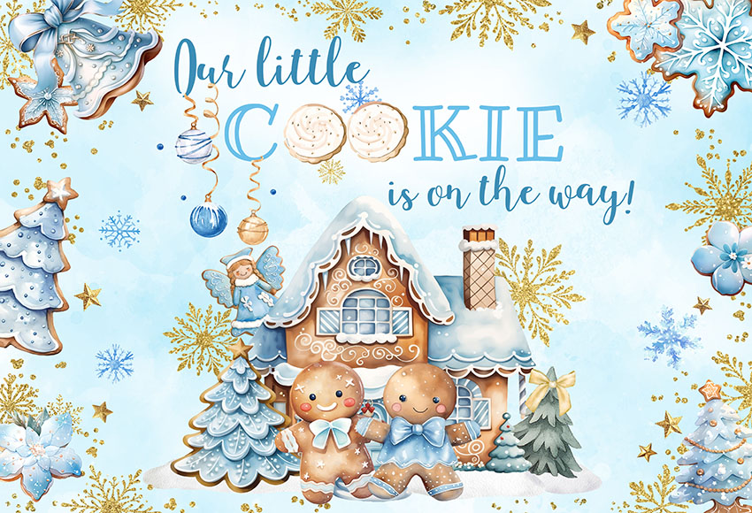 Christmas Gingerbread Baby Sho - Dessert Table Backdrop 리뷰 및 가격